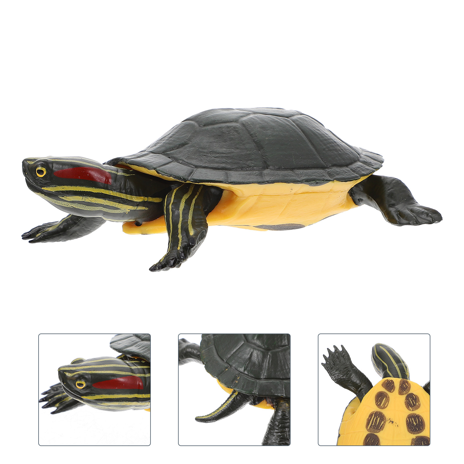 Science Toy - Educational Turtle Sculpture Premium Plastic Construction