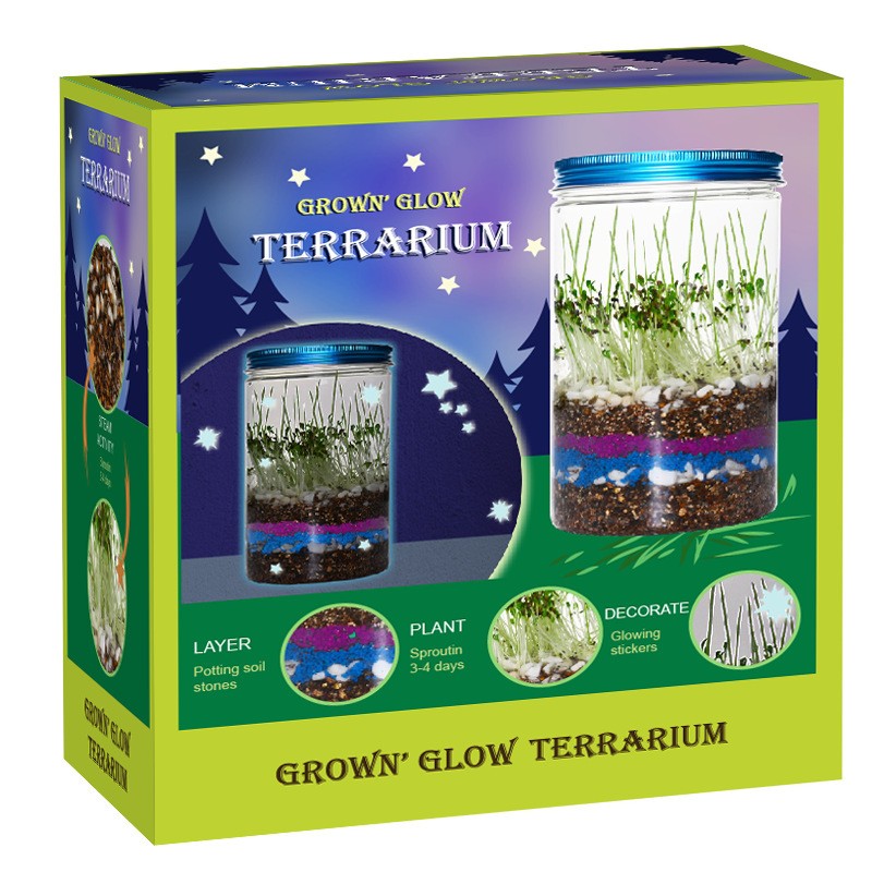 Indoor Planting Children's Fun - Science Nursery avaliação e preço
