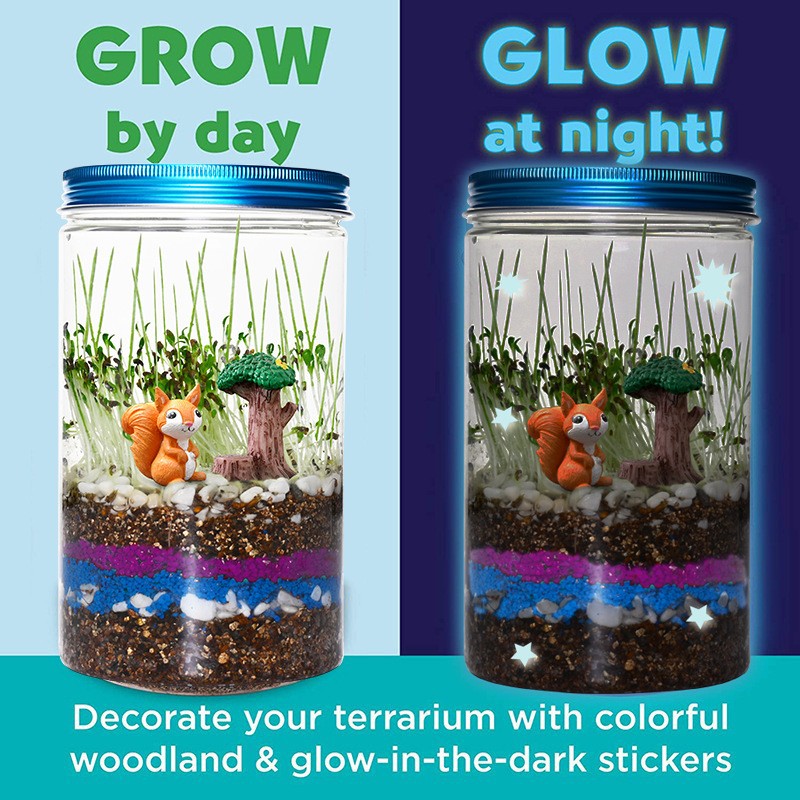 Indoor Planting Children's Fun - Science Nursery avaliação e preço