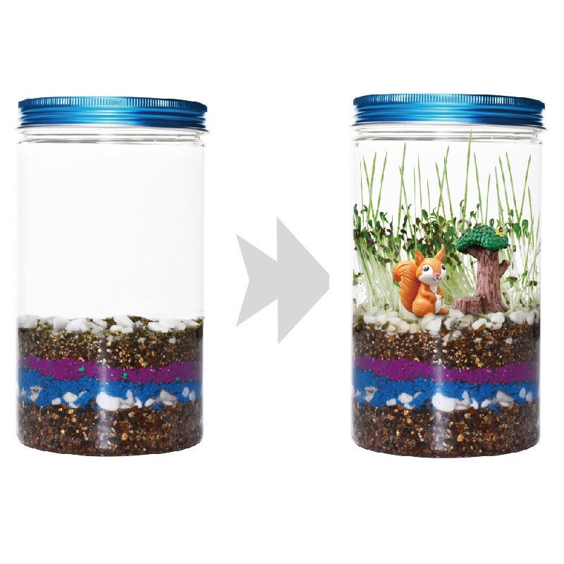 Indoor Planting Children's Fun - Science Nursery avaliação e preço