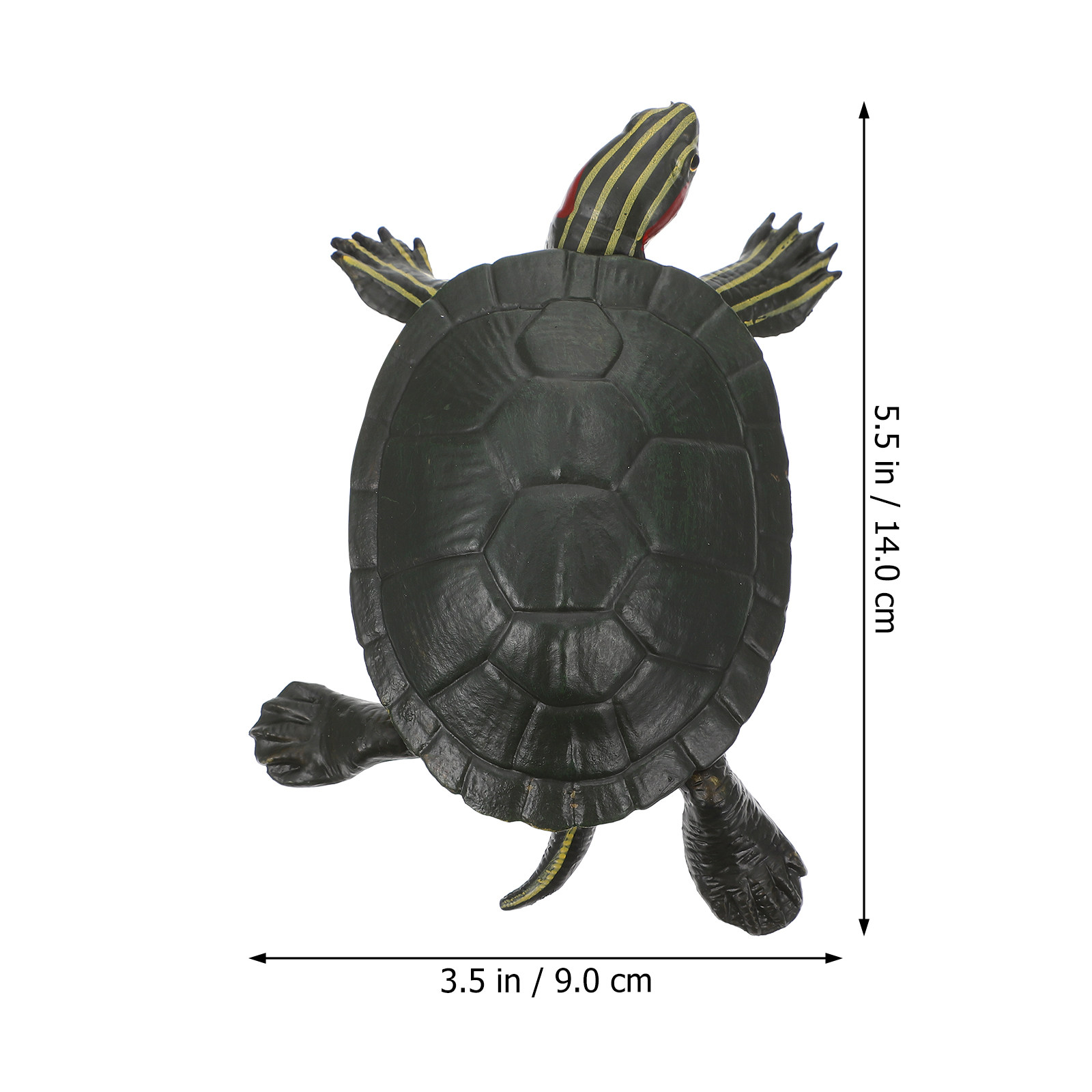 Educational Turtle Sculpture P - Science Toy avaliação e preço
