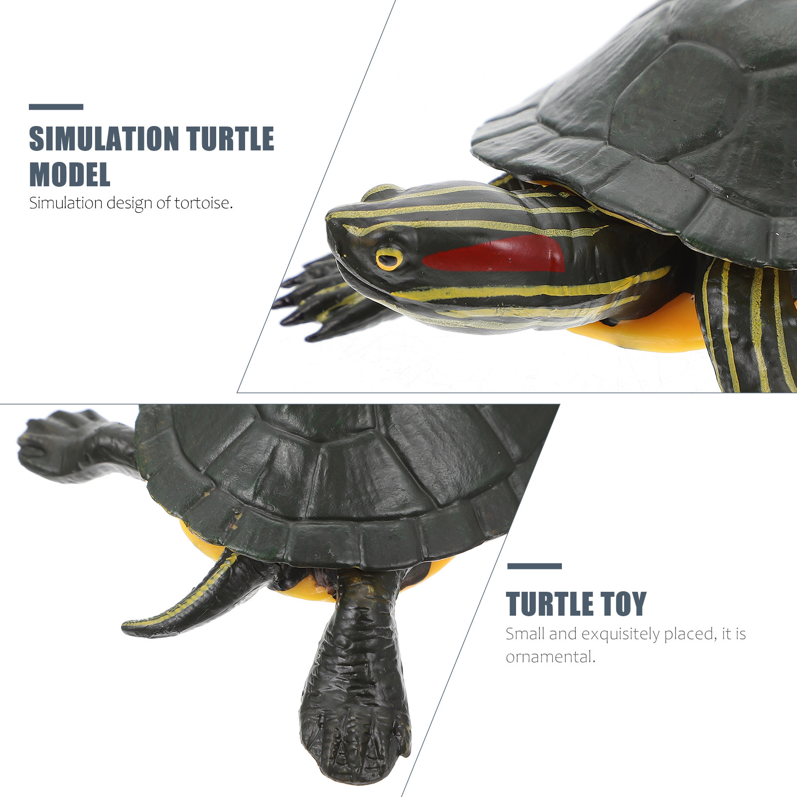 Educational Turtle Sculpture P - Science Toy avaliação e preço