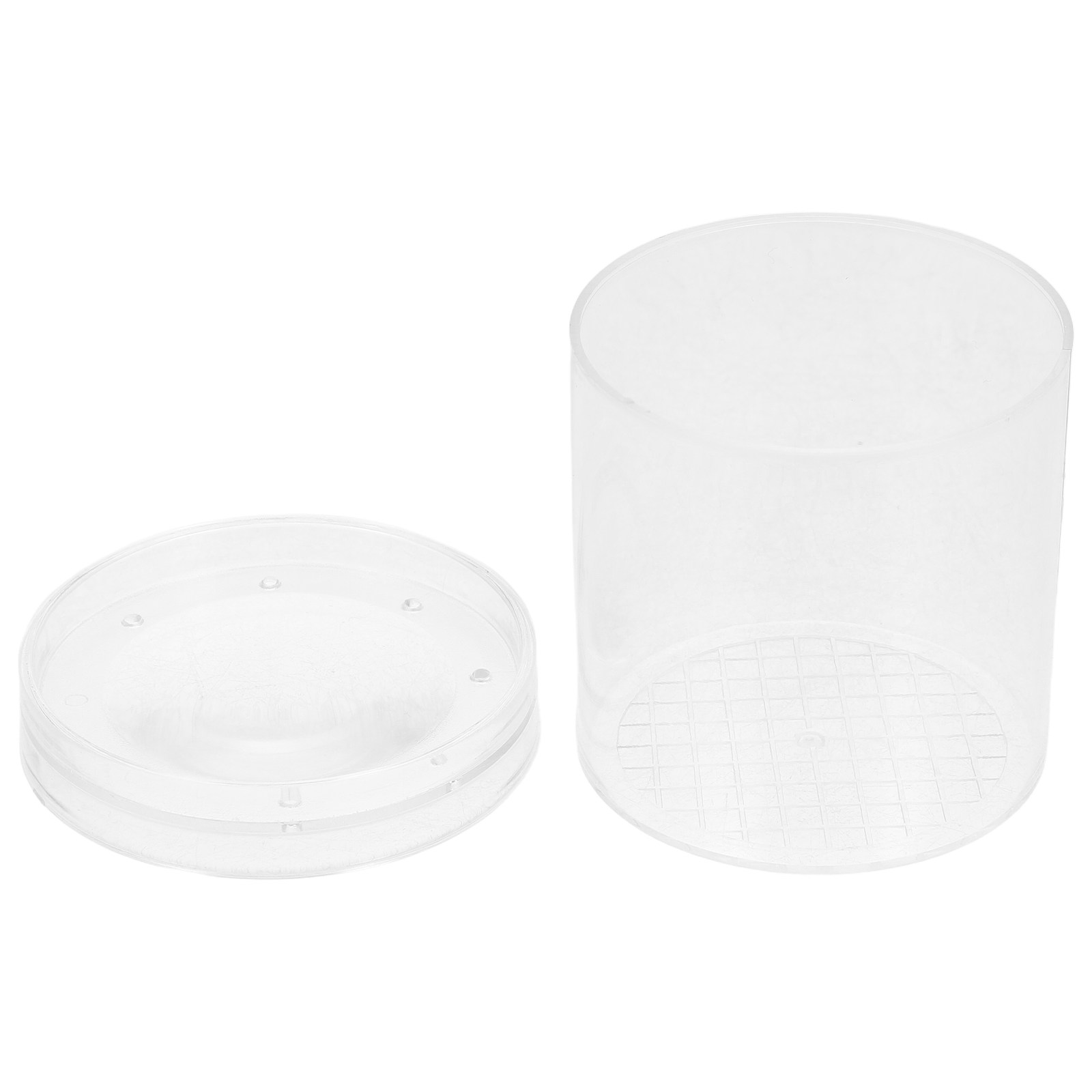3X Magnifying Insect Observati - Science Toy avaliação e preço