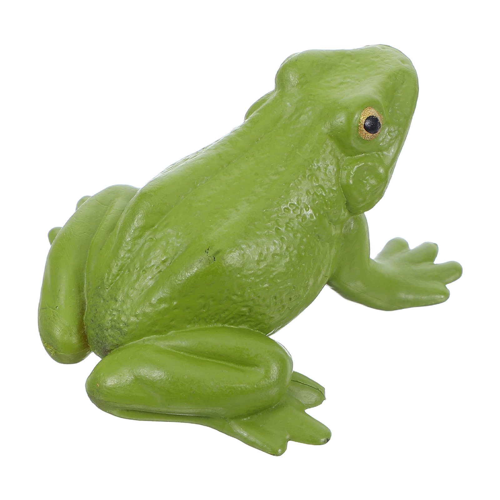Realistic Tree Frog PVC Small  - Science Toy avaliação e preço