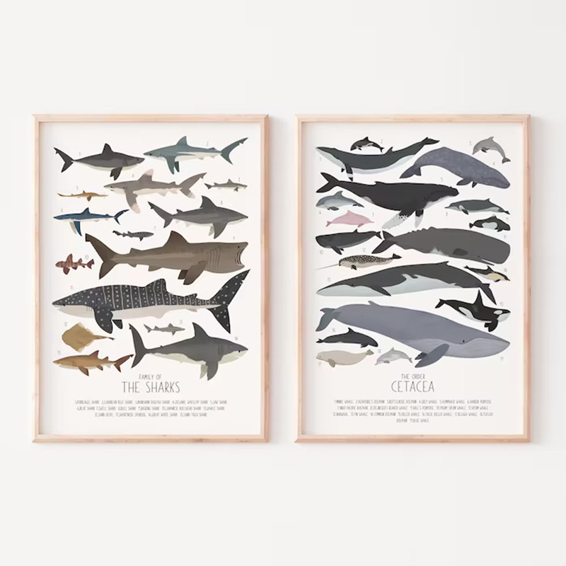 Deep-Sea Fish and Sharks Scien - Science Nursery avaliação e preço