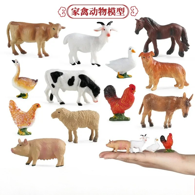 Education Teaching Tool Poultr - Science Toy avaliação e preço
